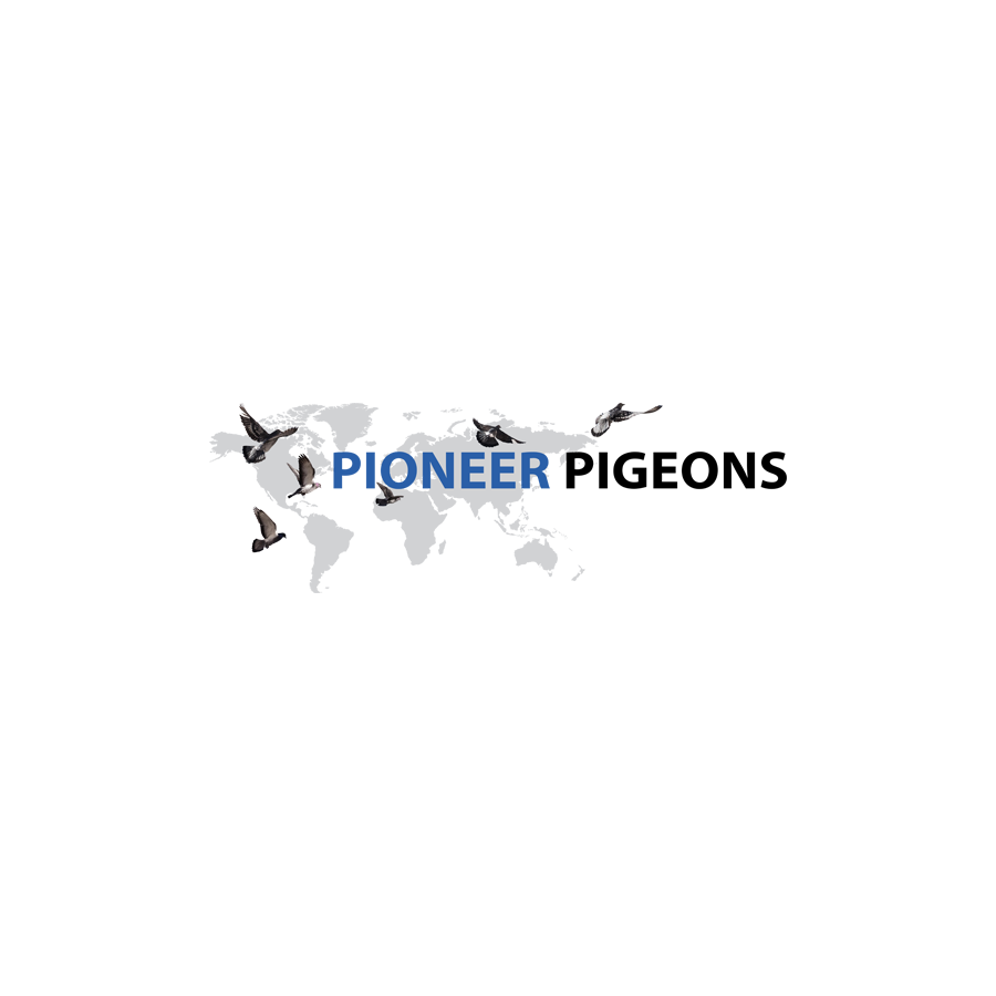 pioneer pigeons 900 x 900 square version